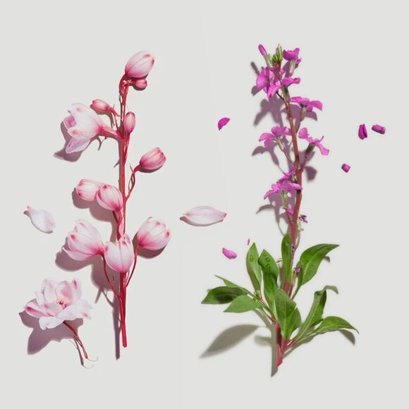 🩶 *Beautycounter* Countercontrol SOS Acne Spot Treatment (exp: 4/2024) - NEW! - Picture 5 of 5